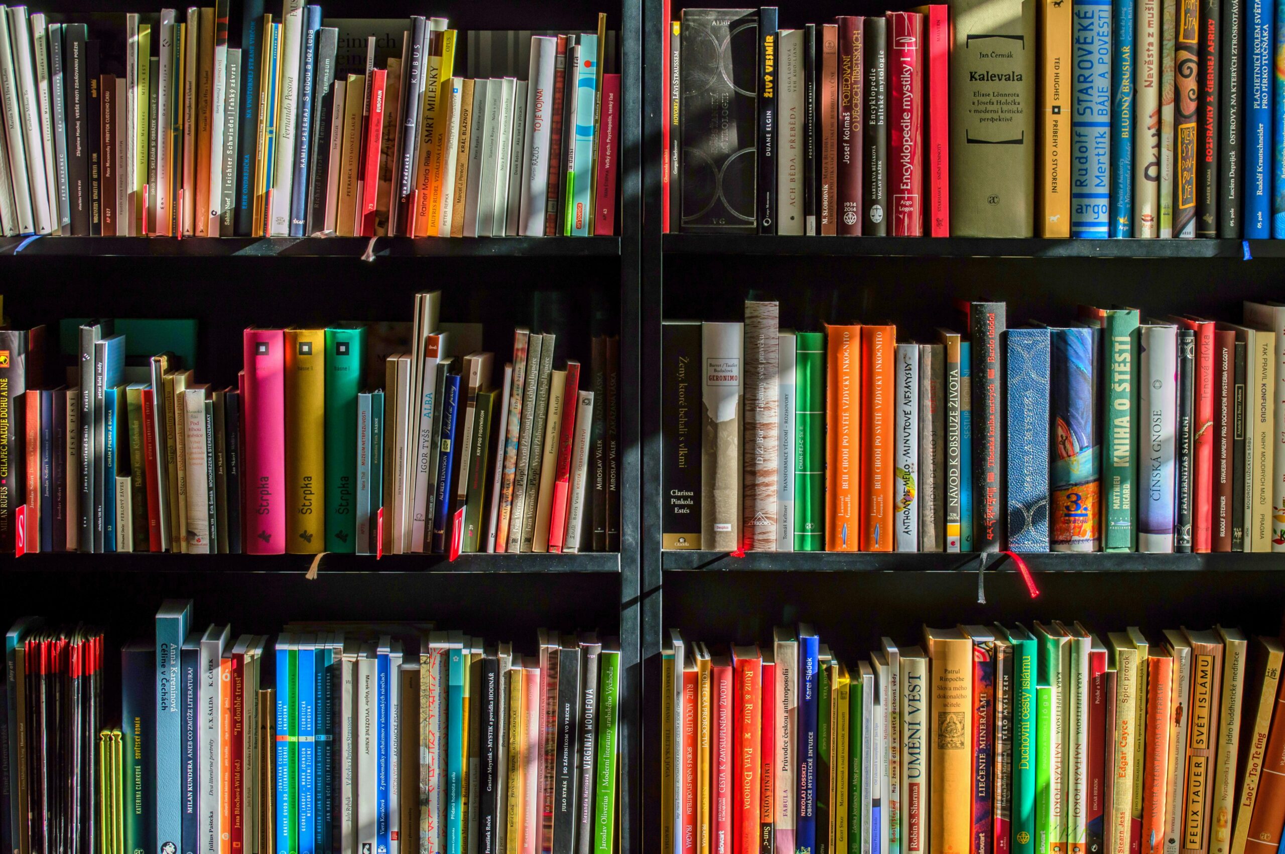 Colorful books on black shelves